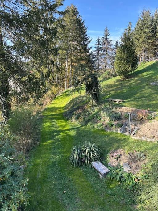 Appartement Exclusiv Im Erzgebirge à Amtsberg Extérieur photo