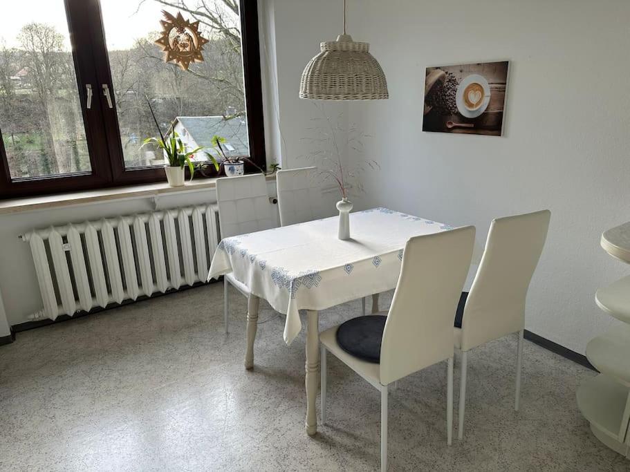 Appartement Exclusiv Im Erzgebirge à Amtsberg Extérieur photo